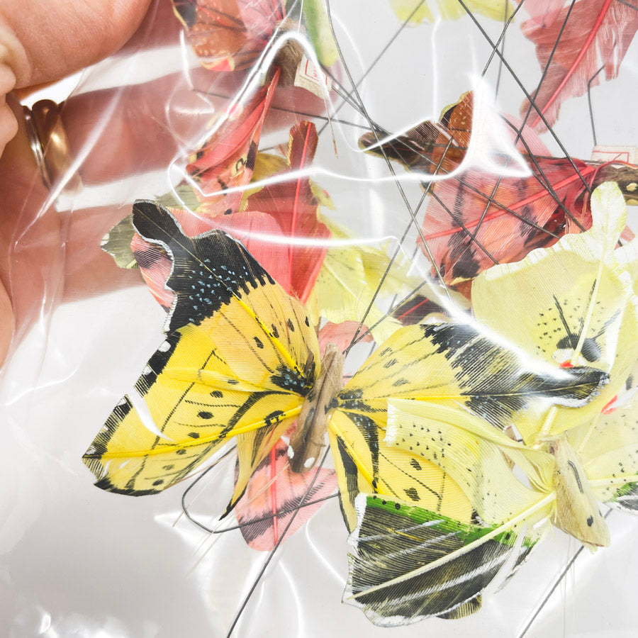 Butterfly Bundles - Pick a Pack