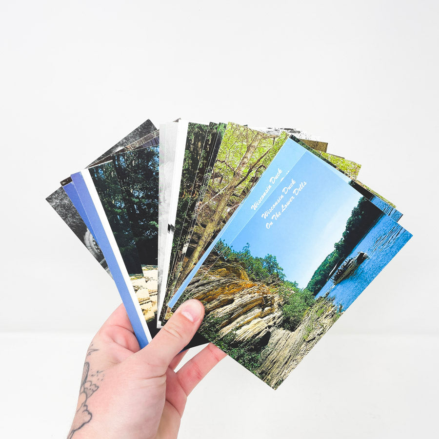 Wisconsin Ducks Postcard Set (1)