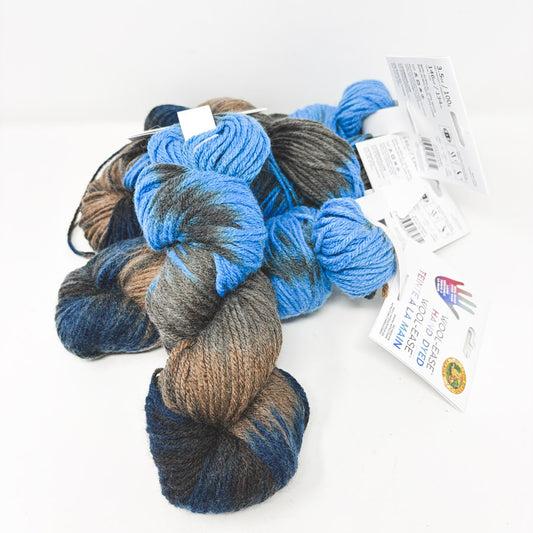 Blue Raspberry - Lion Brand Wool-Ease Hand Dyed Yarn (1)