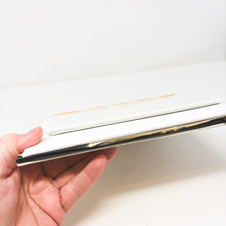 Bundle of Canvas Panels + Pad