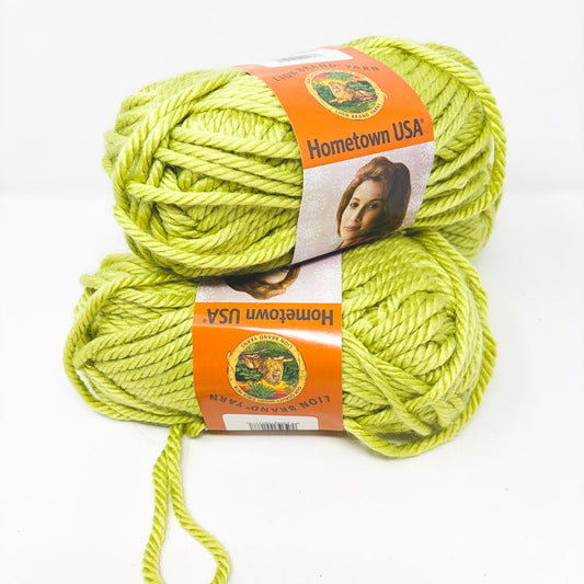 Lion Brand Hometown Acrylic Yarn - Monterey Lime