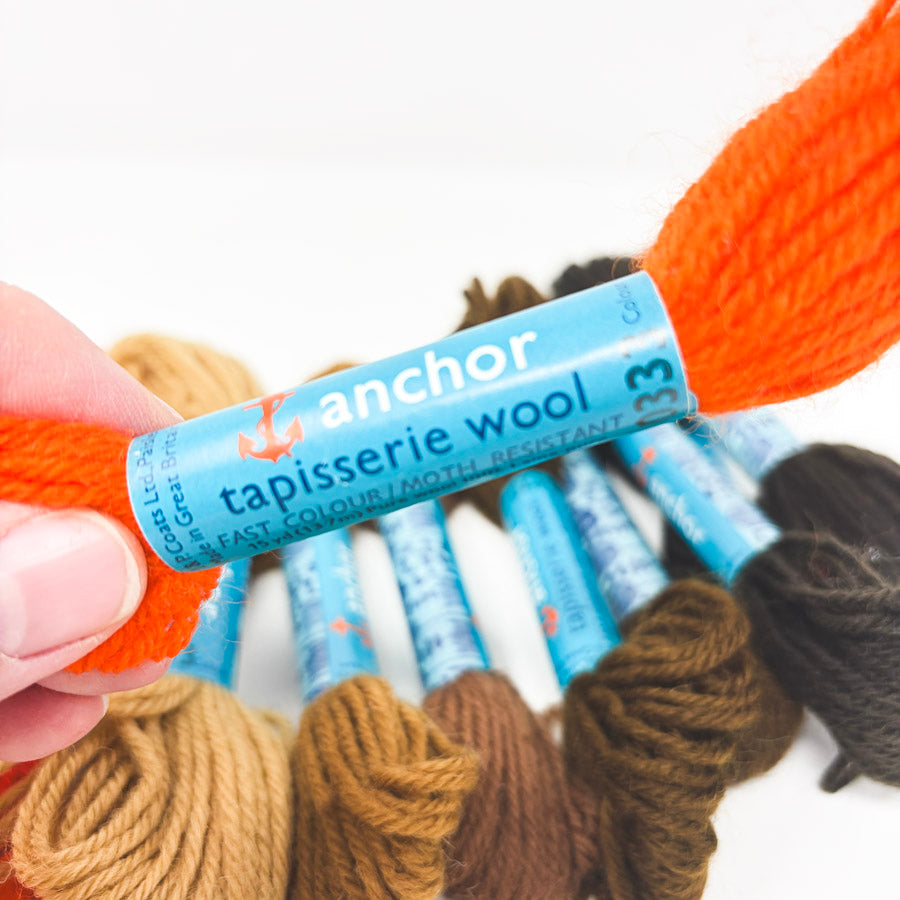 Autumn - Bundle of Anchor Tapestry Wool Yarn (13)