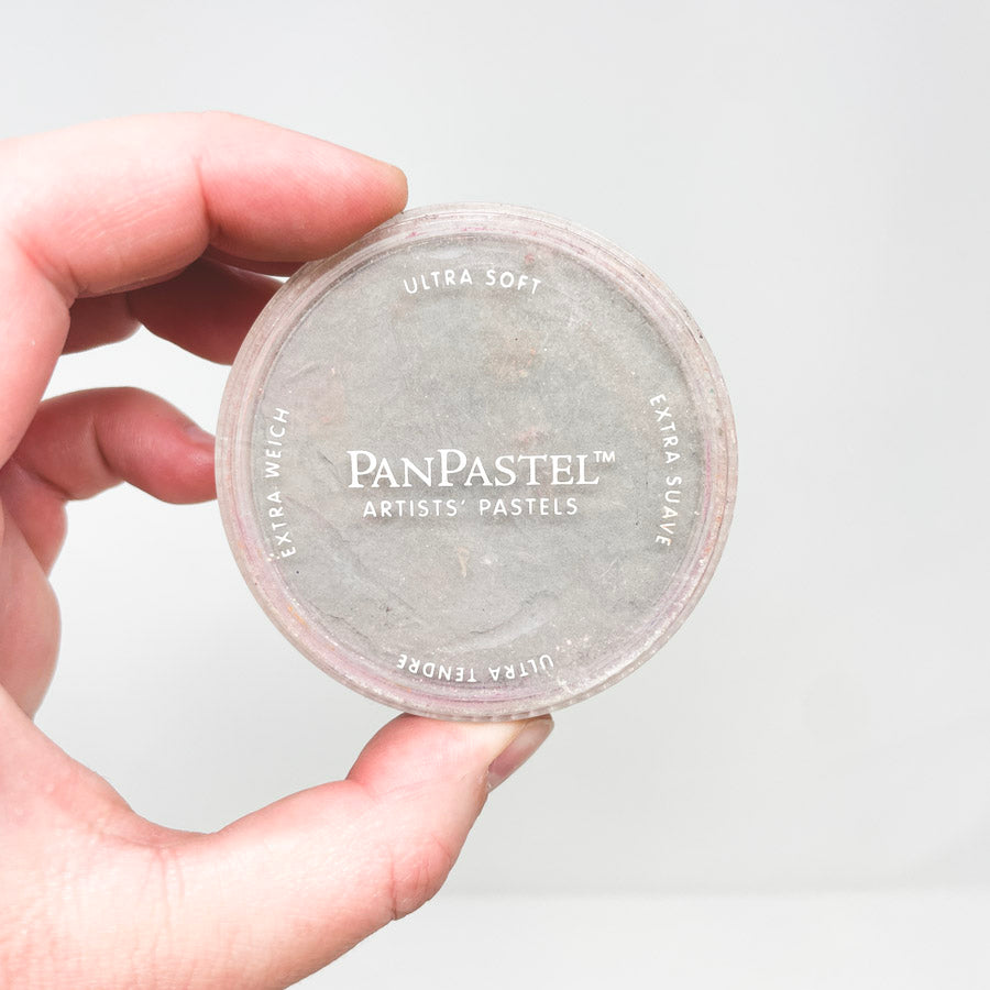 Pan Pastel - Neutral Gray