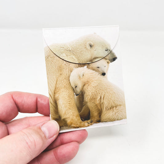 Polar Bear Notepad