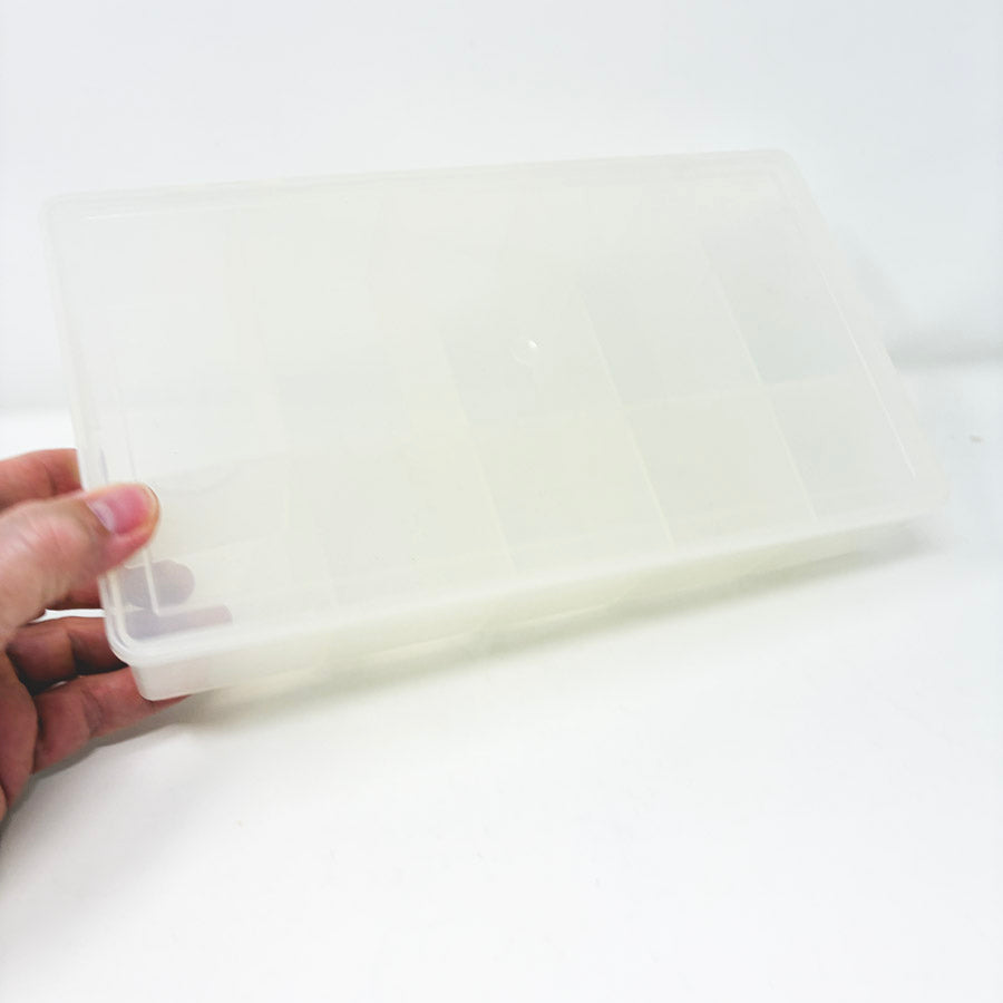 Clear Divided Storage Bin
