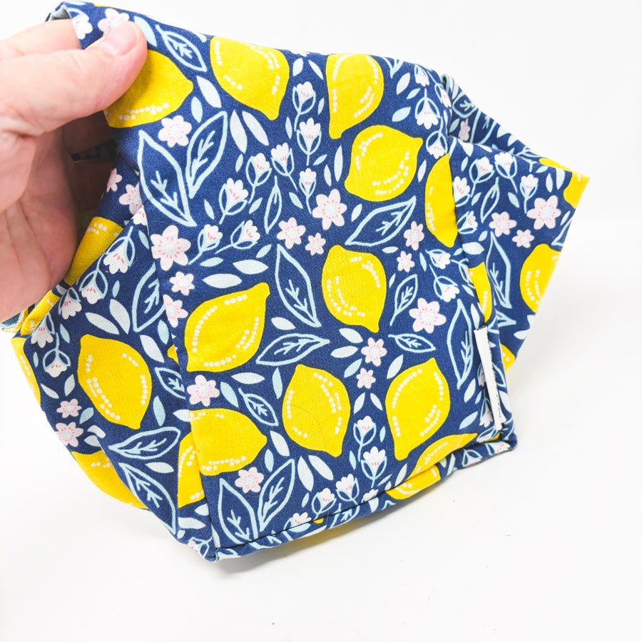 Beautiful Syster Lemon Project Pouch