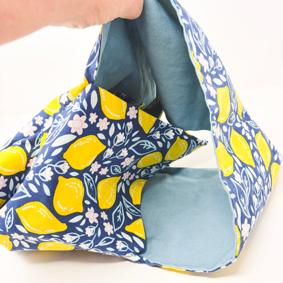 Beautiful Syster Lemon Project Pouch