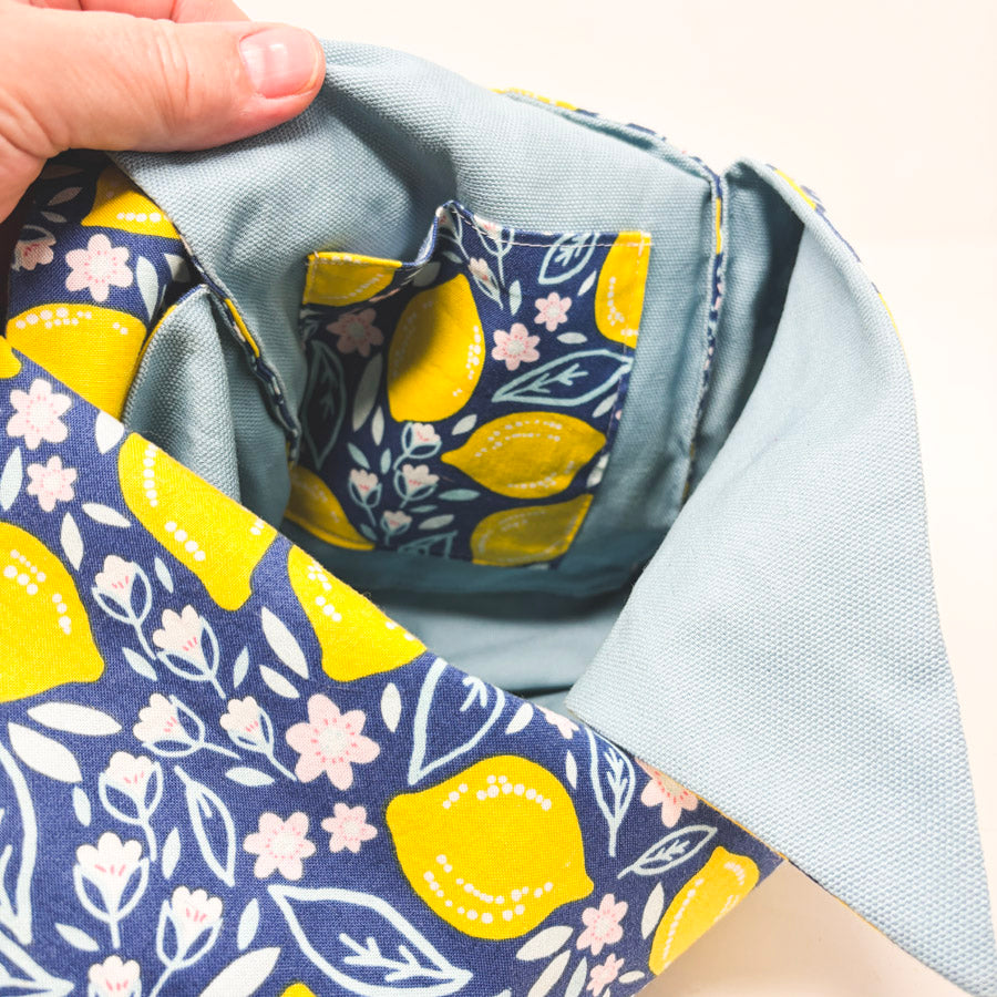 Beautiful Syster Lemon Project Pouch