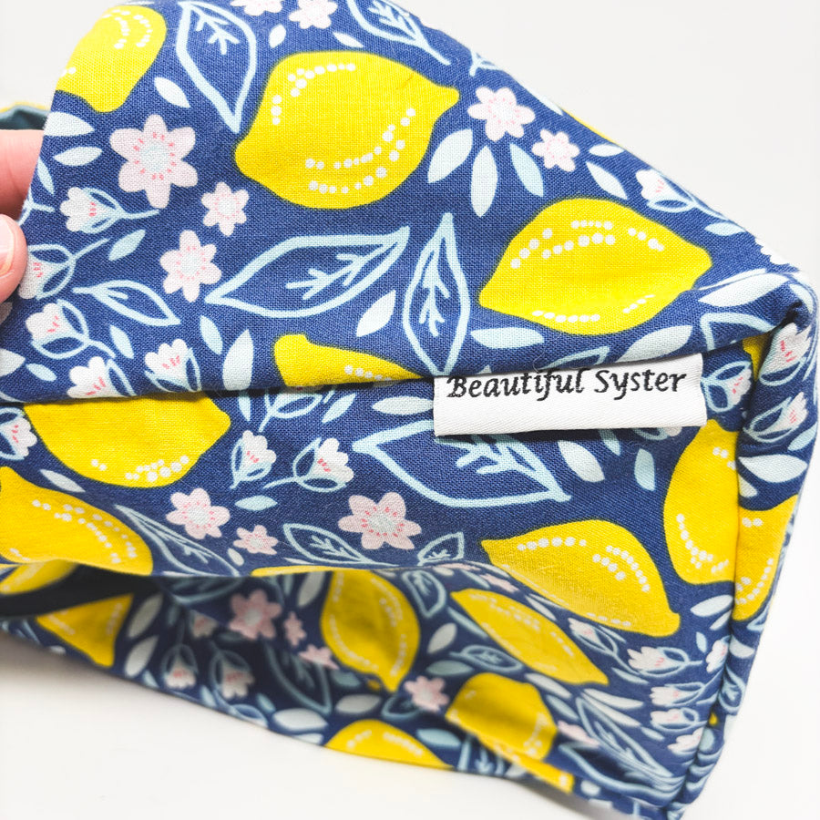 Beautiful Syster Lemon Project Pouch