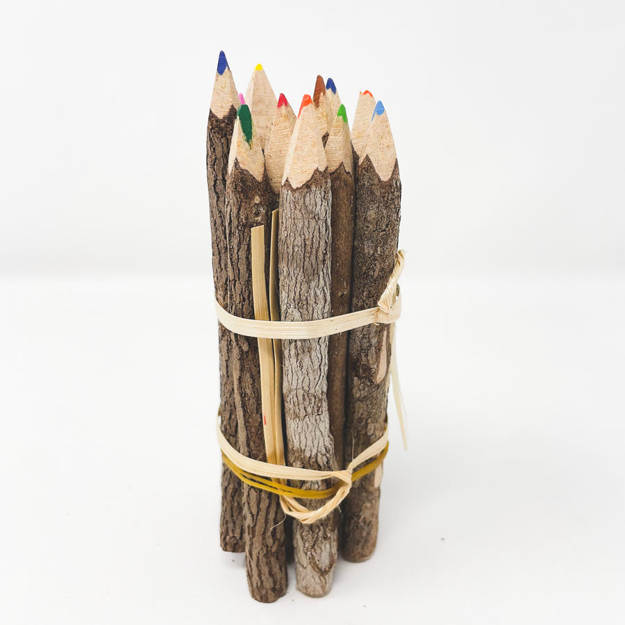 Color Twig Pencils (12)