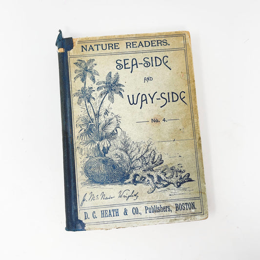 Nature Readers Sea-Side and Way-Side No. 4