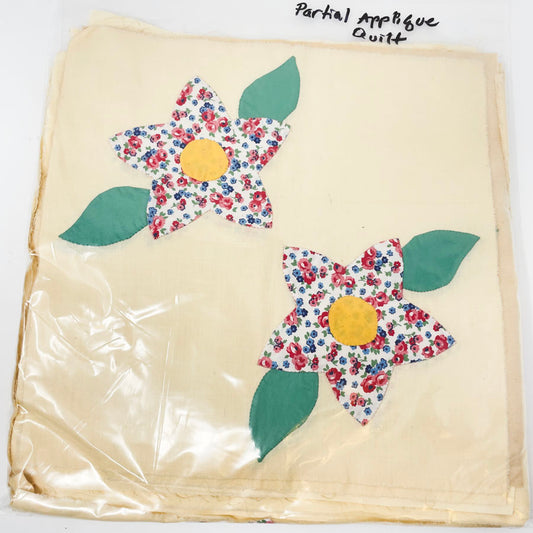 Vintage Applique Quilt Blocks - Partial Project