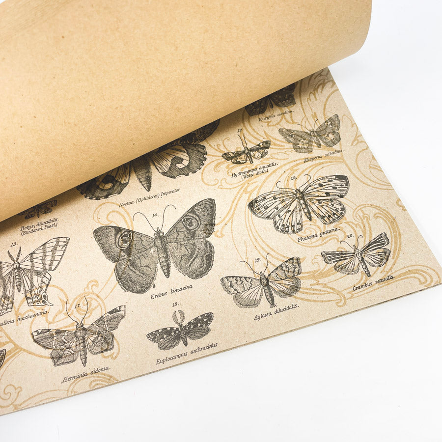 Tim Holtz Idea-ology Kraft Paper 12 x 12 Scrapbook Pad