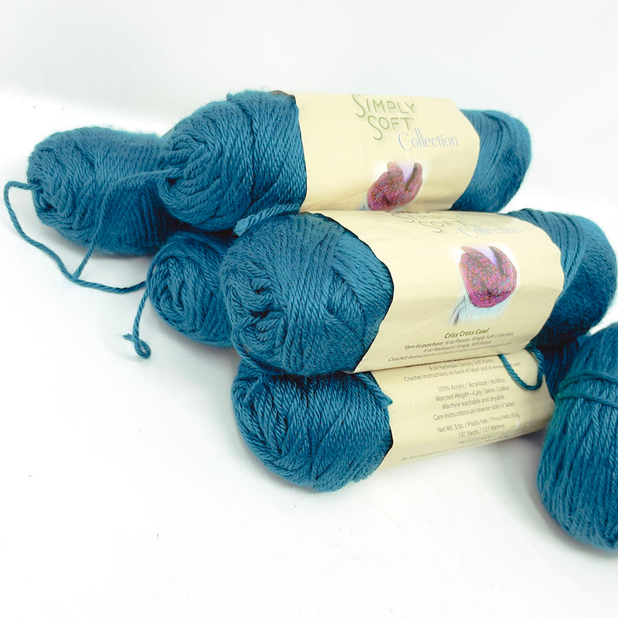 Caron Simply Soft Yarn Bundle