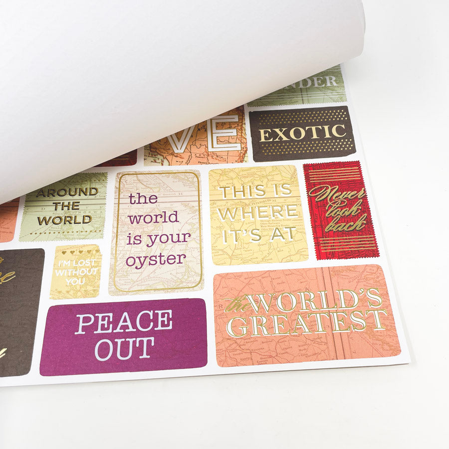 DCWV Cartographer 12x12 Paper Pack