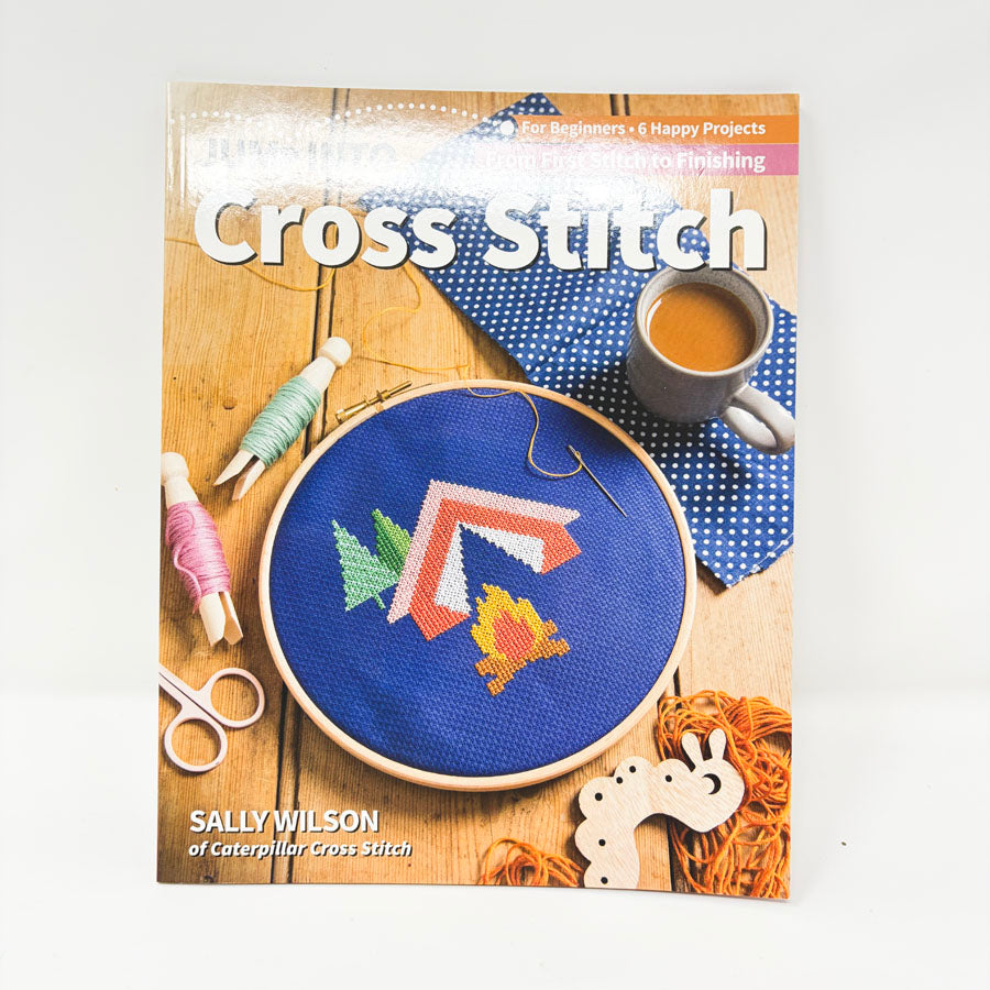 Jump Into Cross Stitch Book by Sally Wilson