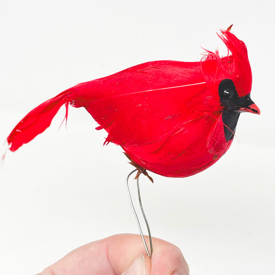 Cardinal Accessory with Wire