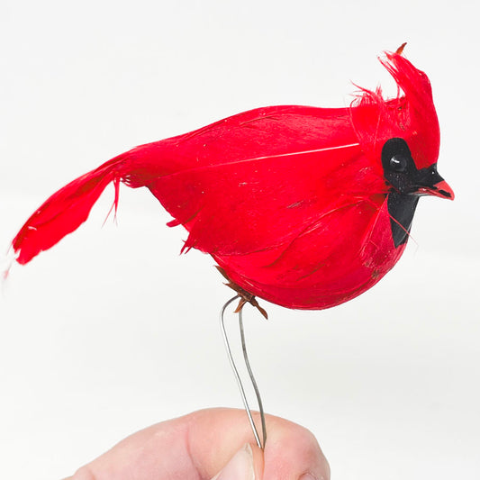 Cardinal Accessory with Wire