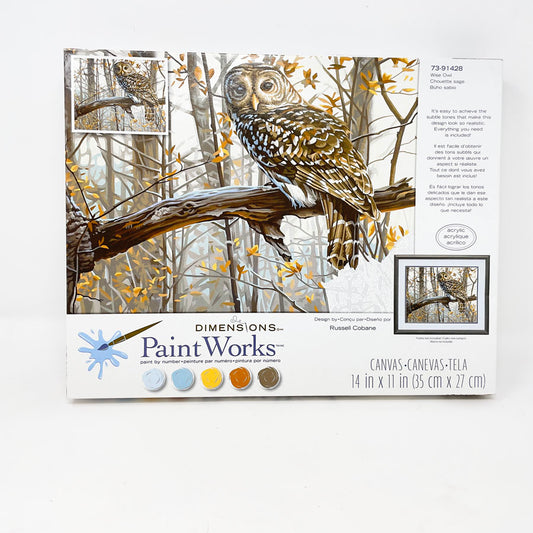 Dimensions Paint Works Wise Owl Paint by Number Kit