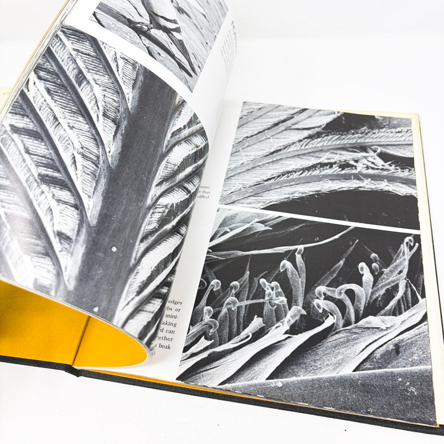 Vintage Small Worlds Close Up Book