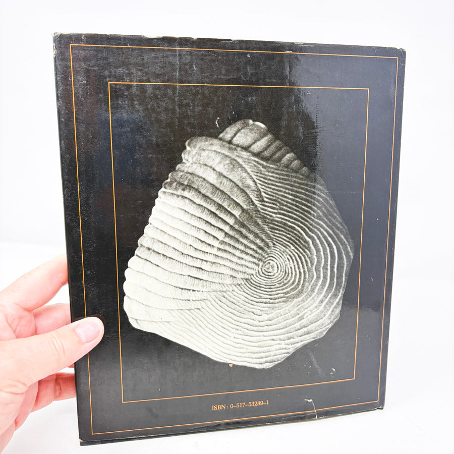 Vintage Small Worlds Close Up Book
