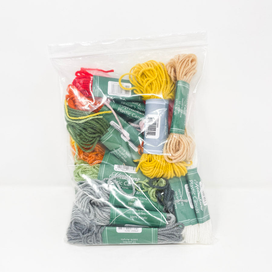 Color Bundle of Herrschners Plastic Canvas Yarn