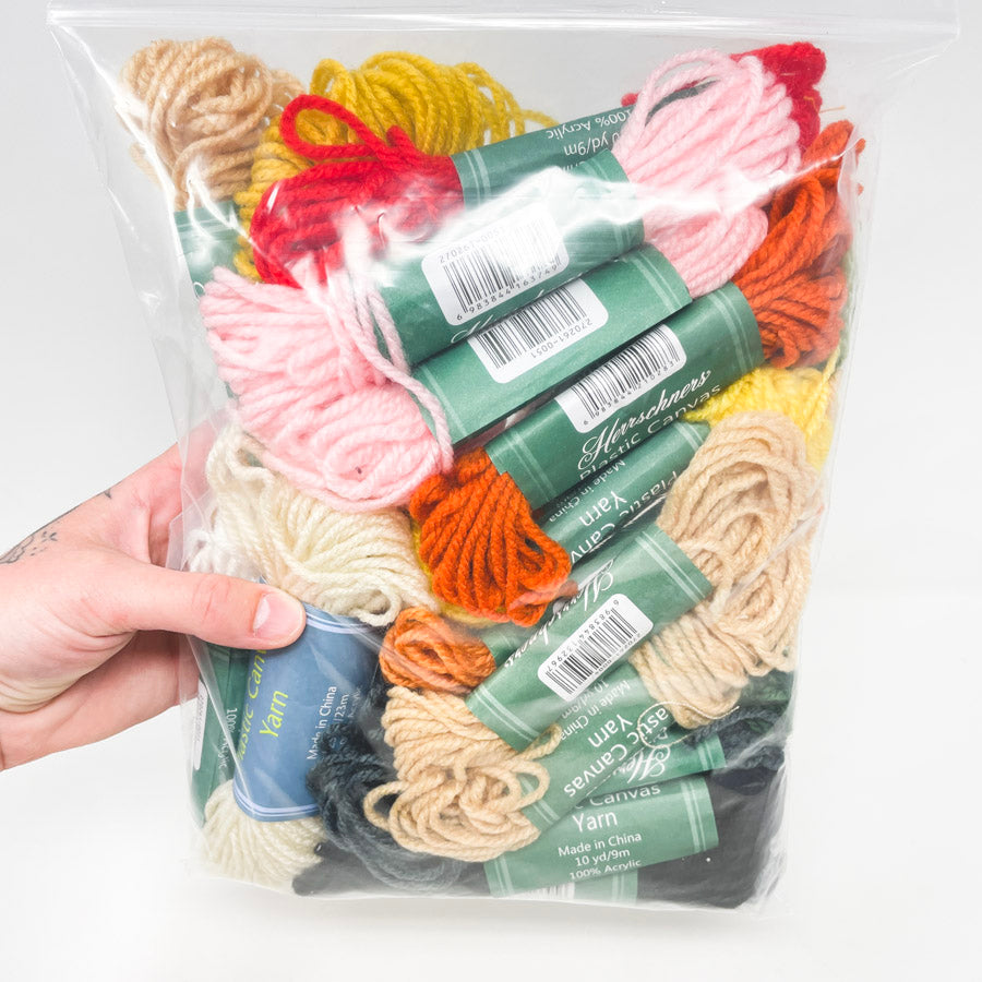 Color Bundle of Herrschners Plastic Canvas Yarn