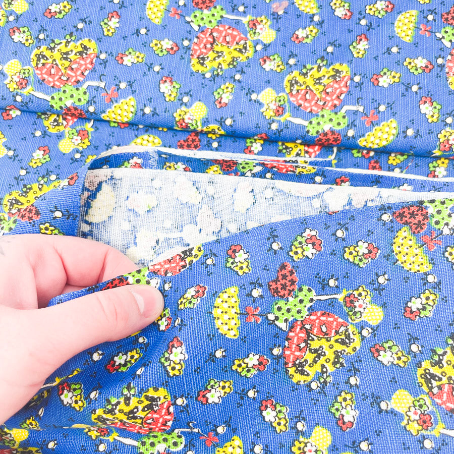 1.5 Yds x 42" Lady Bug Canvas Fabric