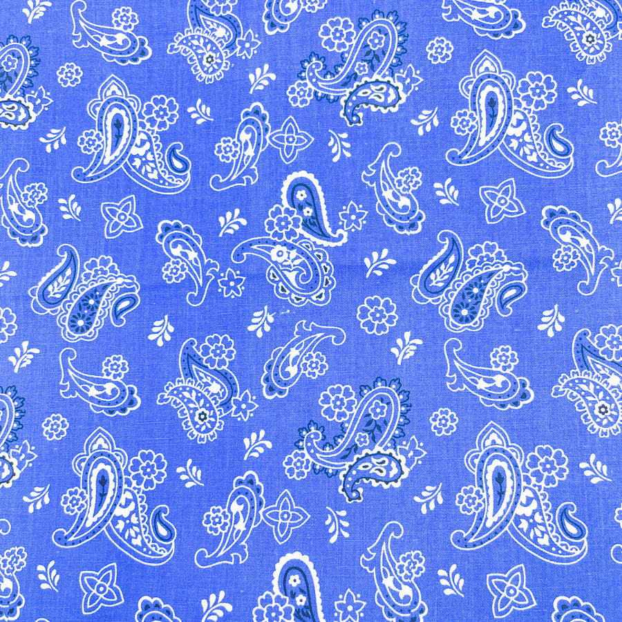 3.75 Yds x 44" Vintage Blue Paisley Cotton by Fabric Traditions