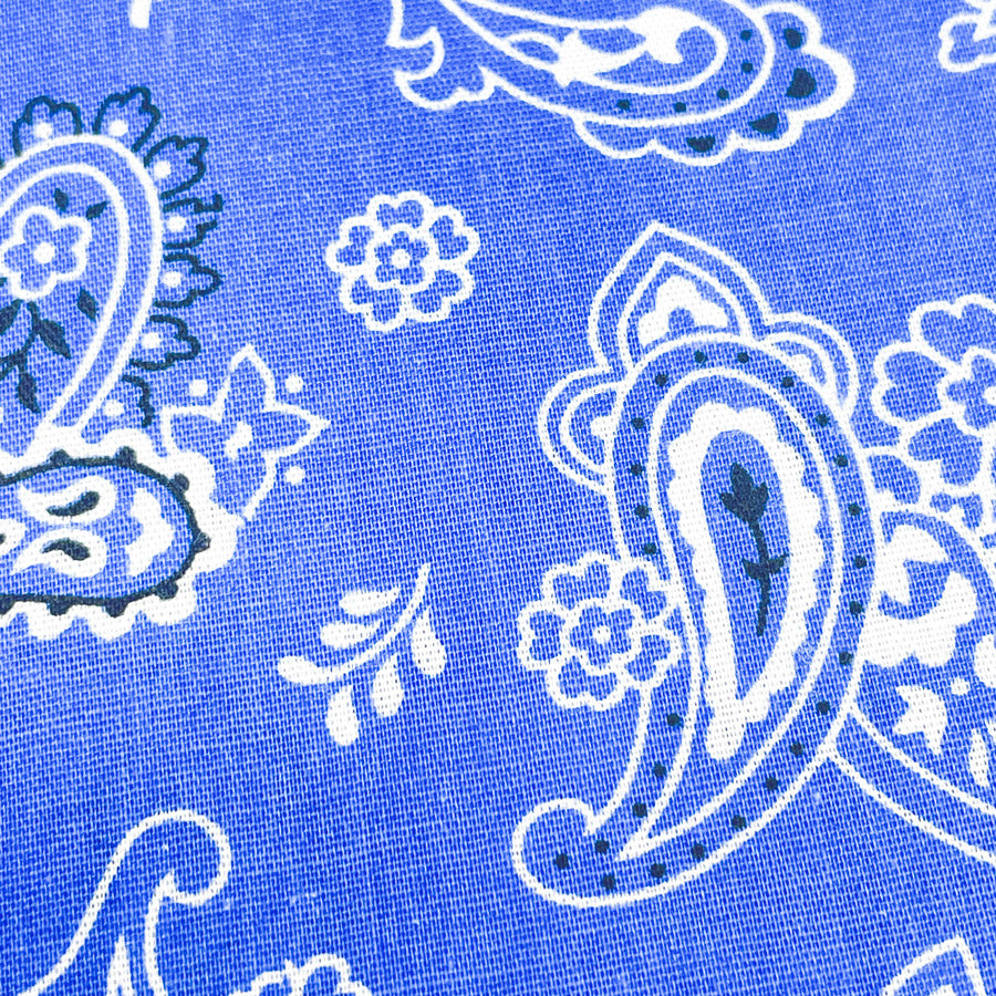 3.75 Yds x 44" Vintage Blue Paisley Cotton by Fabric Traditions