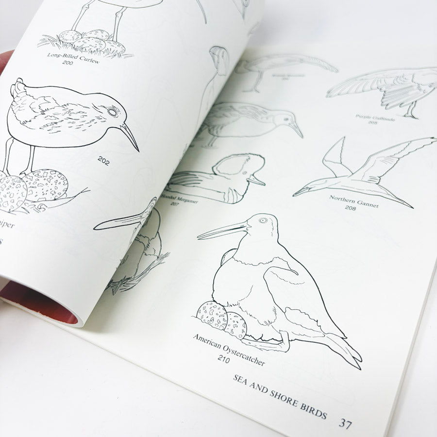 Dover Bird Illustrations Book with CD