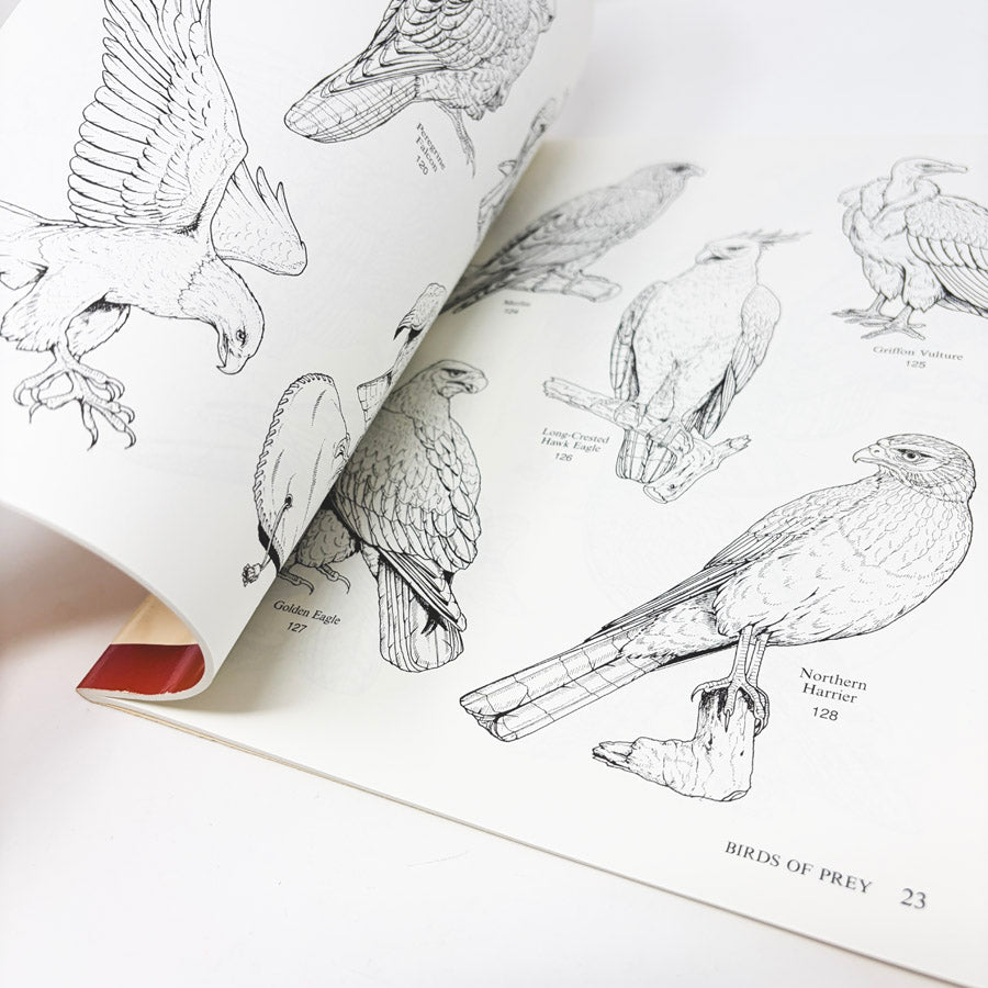 Dover Bird Illustrations Book with CD