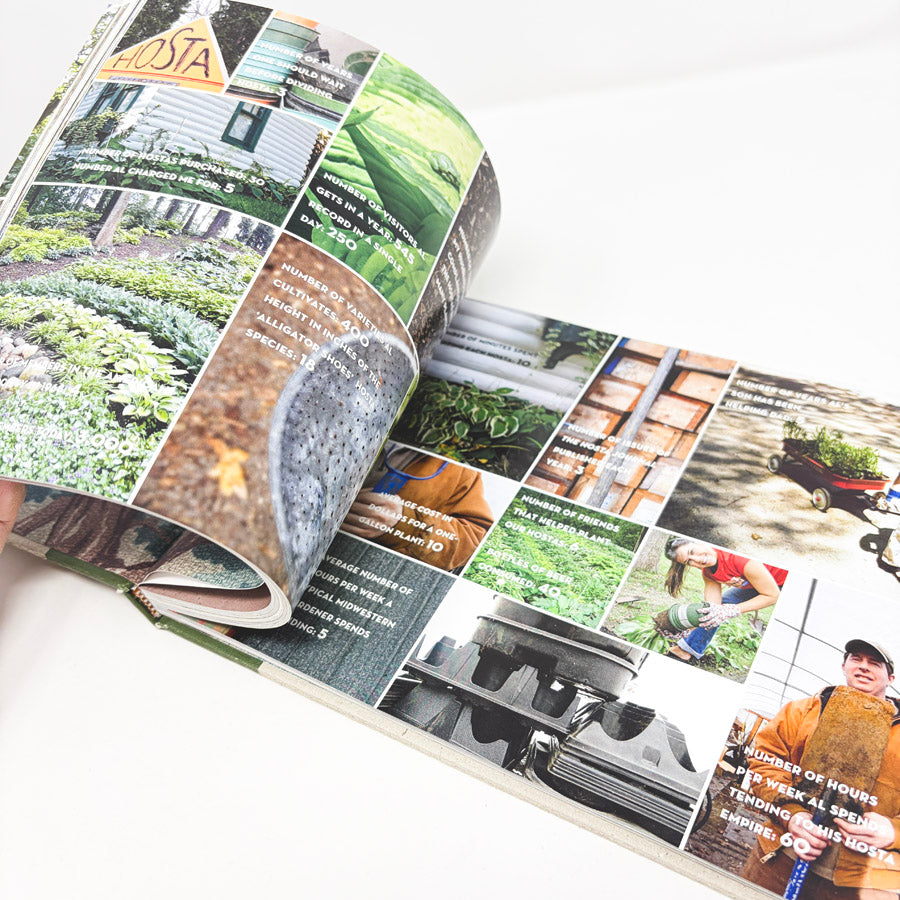 Country Living A Very Modest Cottage Book by Tereasa Surratt