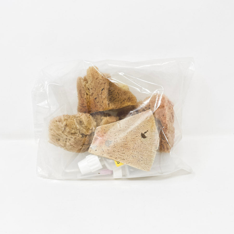 Natural Sponges and Bottle Bundle