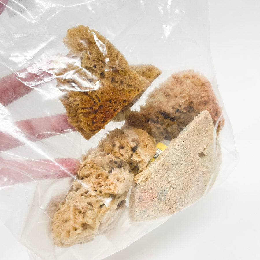 Natural Sponges and Bottle Bundle