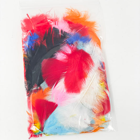 Feathers Colored Asst.