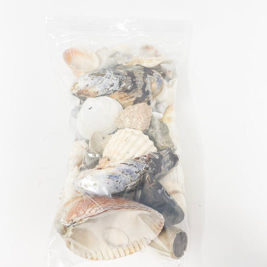 Big Bag of Assorted Shells