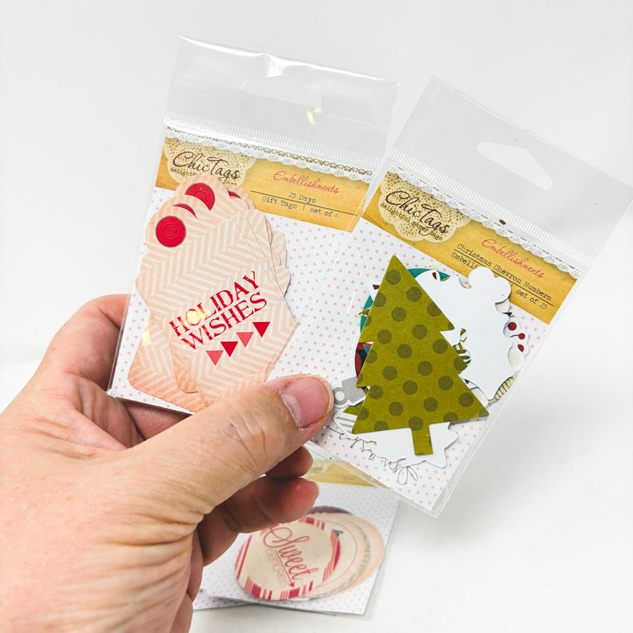 Bundle of Chic Tags Embellishments (5)