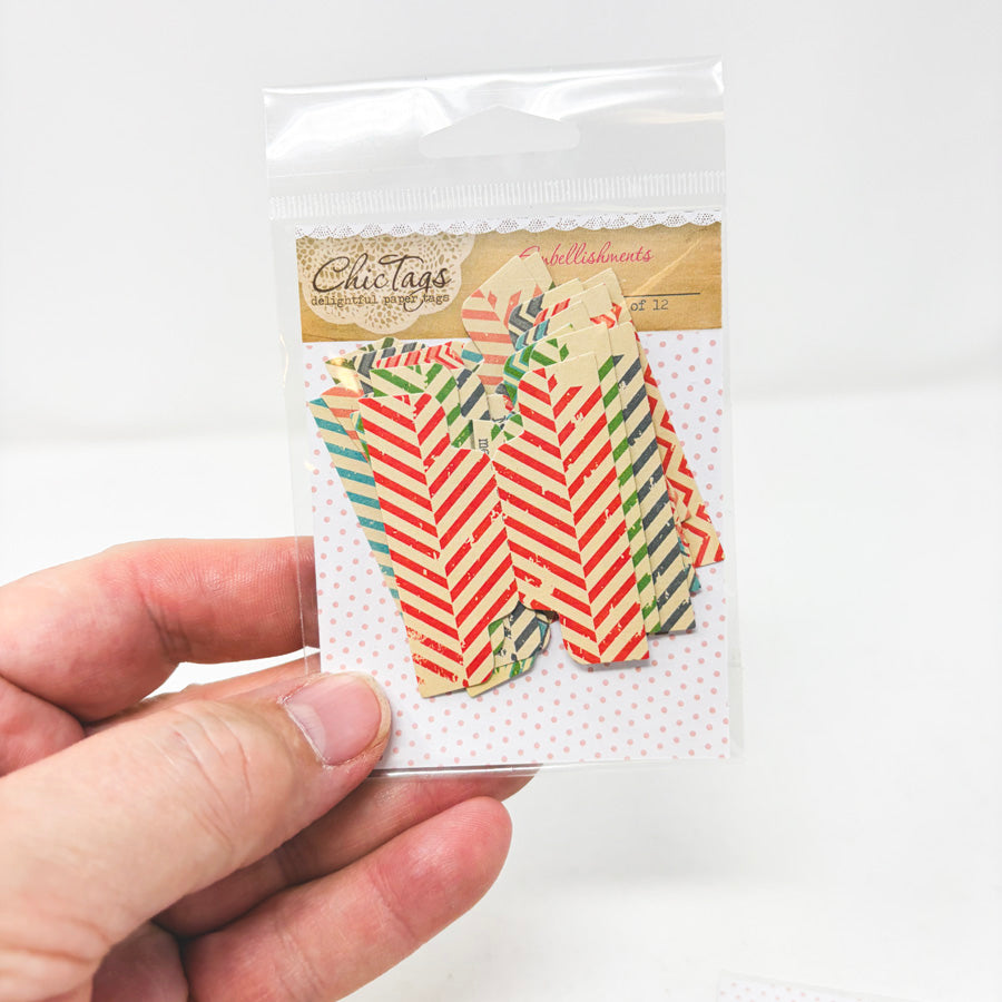 Bundle of Chic Tags Embellishments (5)