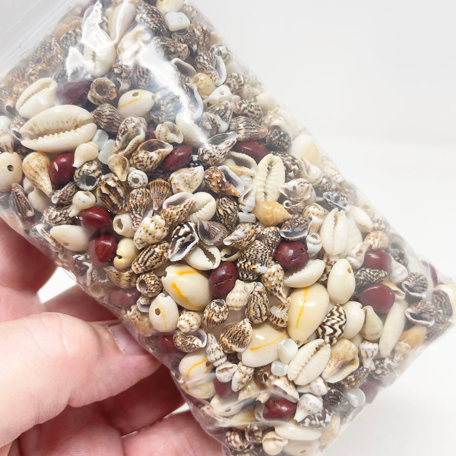 Medium Bag of Shell Beads