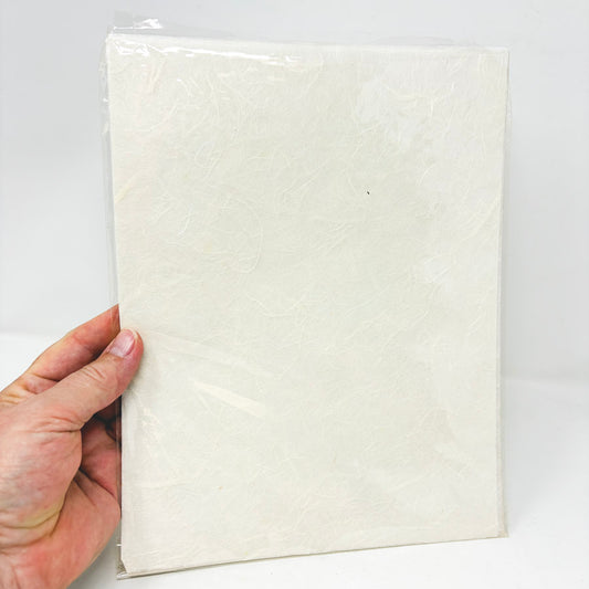 Asst Patterned Vellum Sheets 8.5"x11 by ZinggZooInk