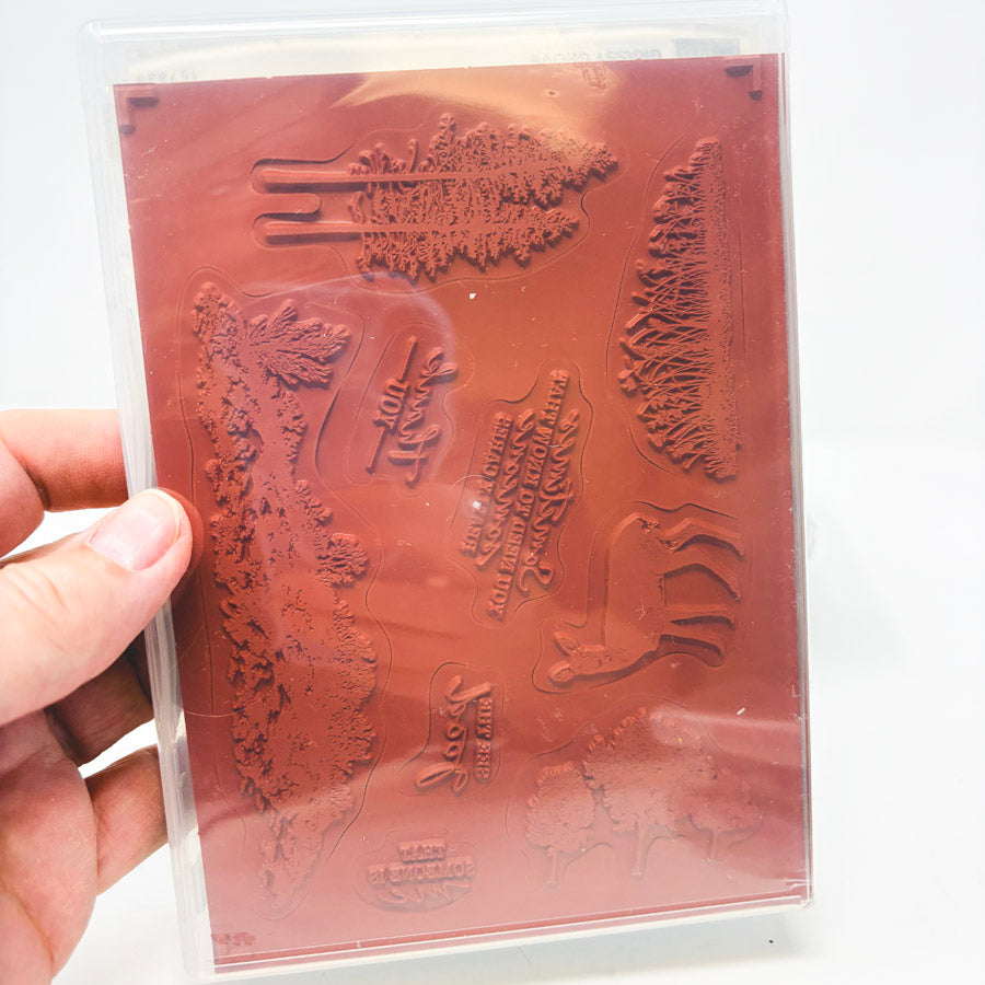 2022 Stampin’ Up Cling Stamp Sets
