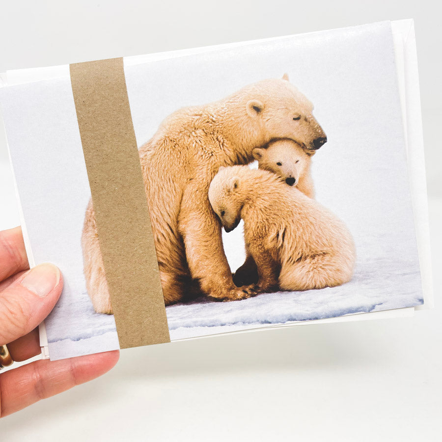 Bundle of Assorted Animal Greeting Cards with Envelopes
