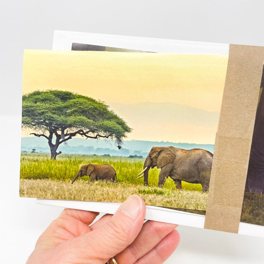 Bundle of Assorted Animal Greeting Cards with Envelopes