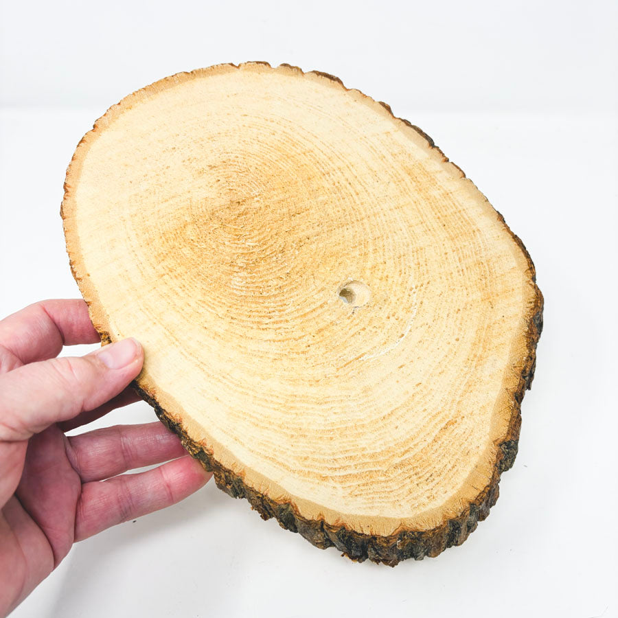 9 3/4"x 8" Sliced Wooden Oval