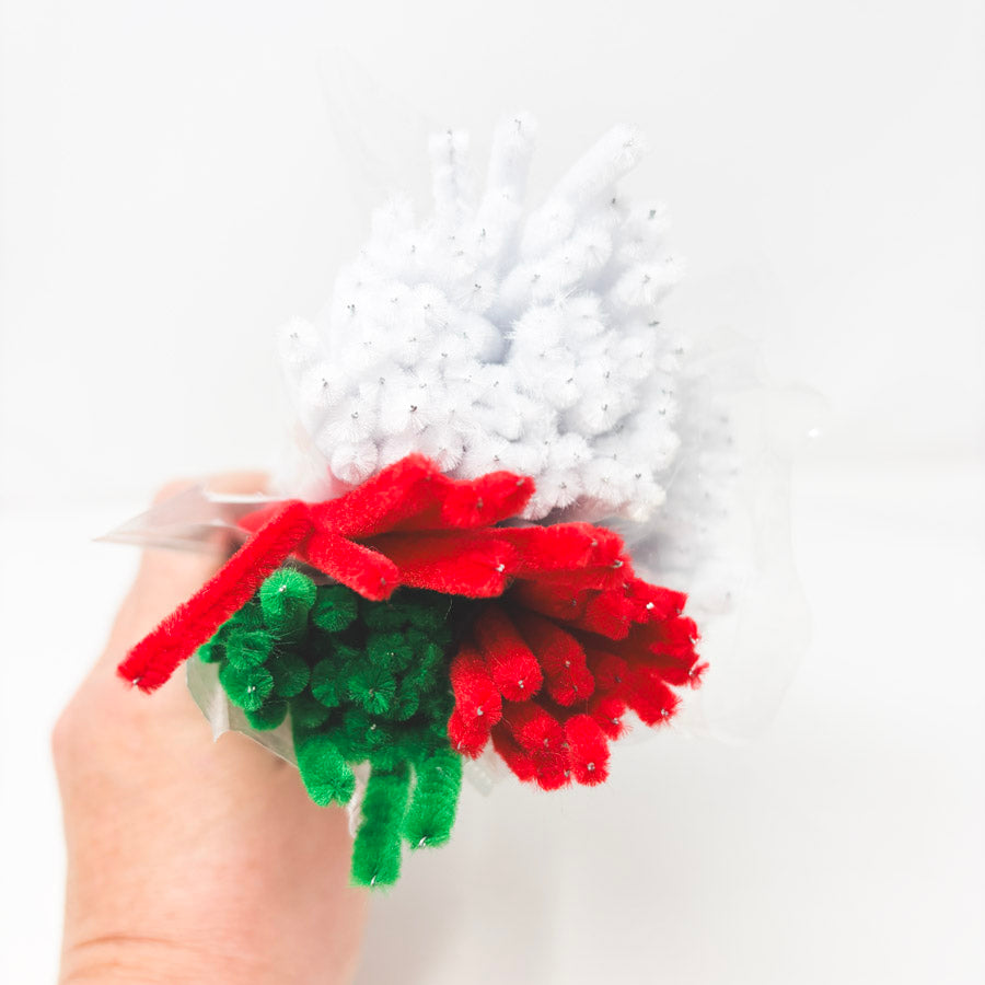 Red White Green Pipe Cleaner Bundle