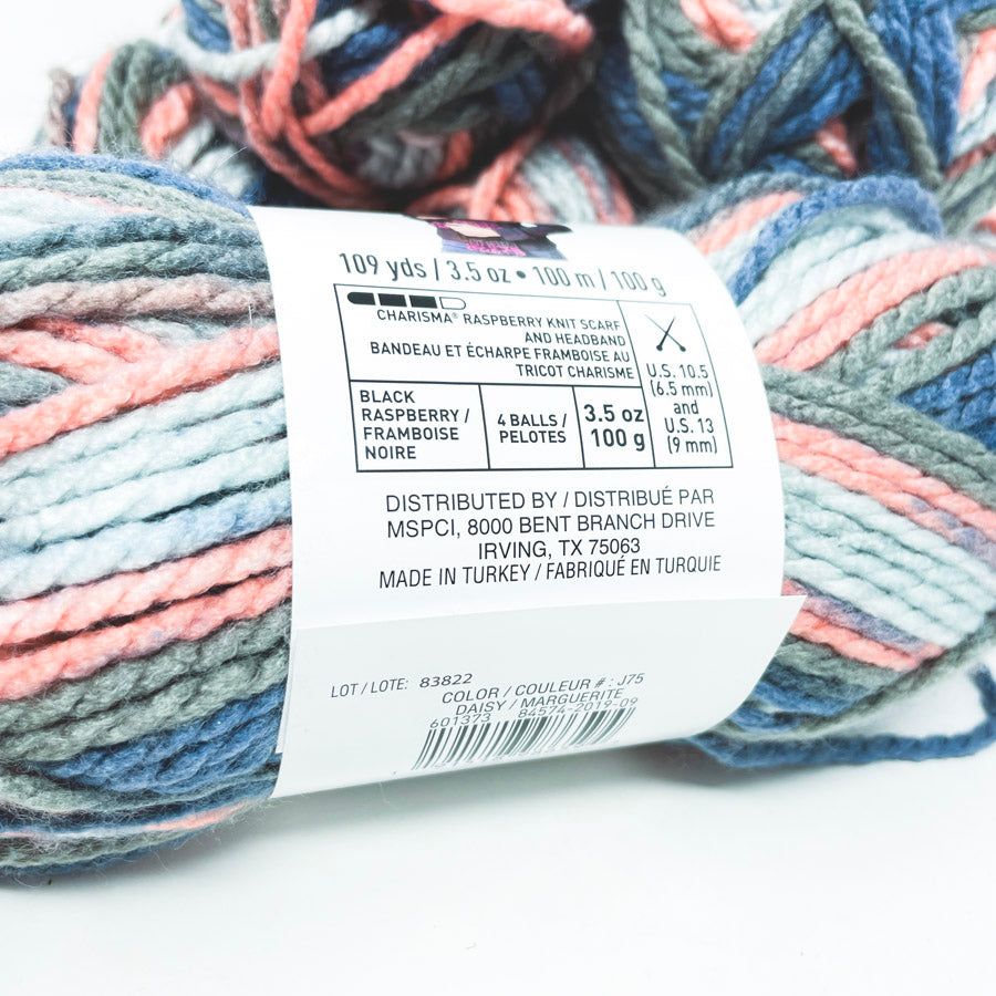 Daisy Loops & Threads Charisma Yarn 3.5 oz (1)