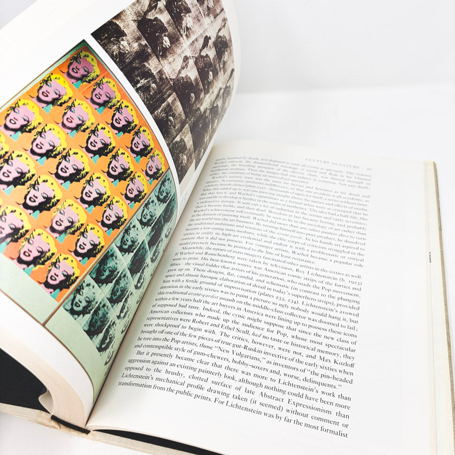 The Shock of the New Book by Rober Hughes