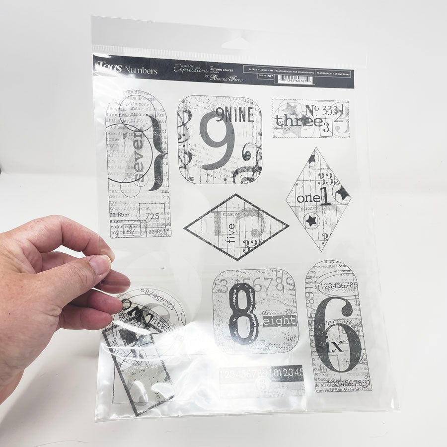 Autumn Leaves Tags/Numbers Clear Transparencies