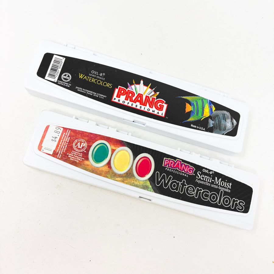 Prang Professional Semi Moist Paint Set